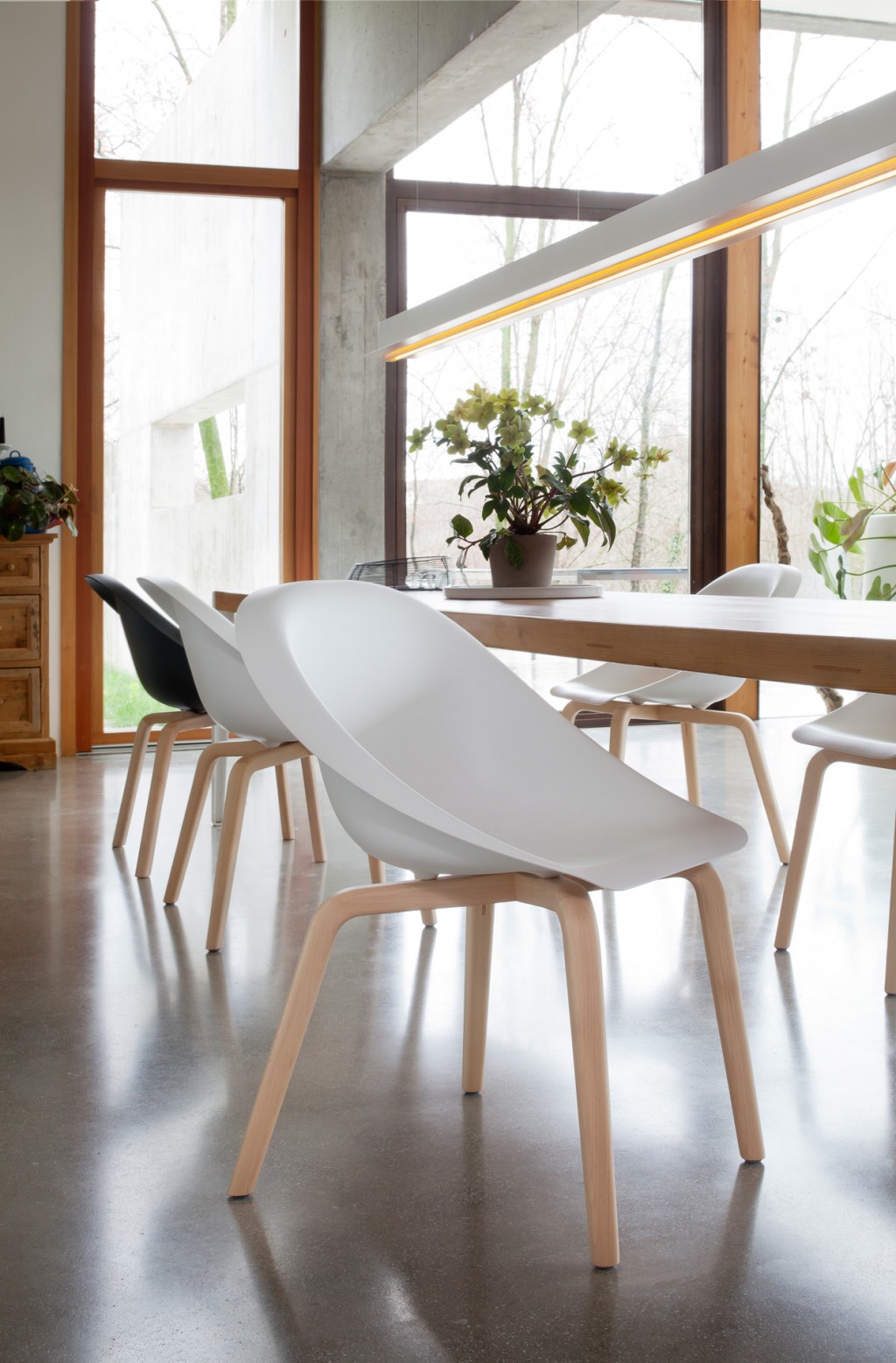 HOOP CHAIR，Karim，chair，