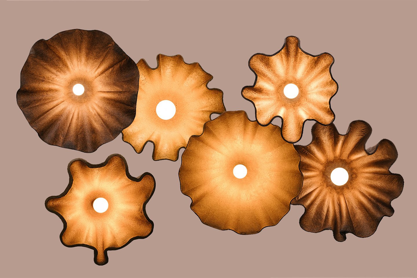 Lighting，lighting，Obscure，environment protection，Biohm，