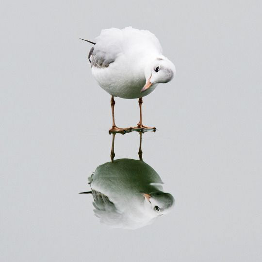 ，product design，Remember，Urn design，Standardized design，