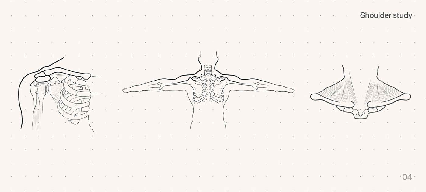 coat hanger，shoulder ，clothes，