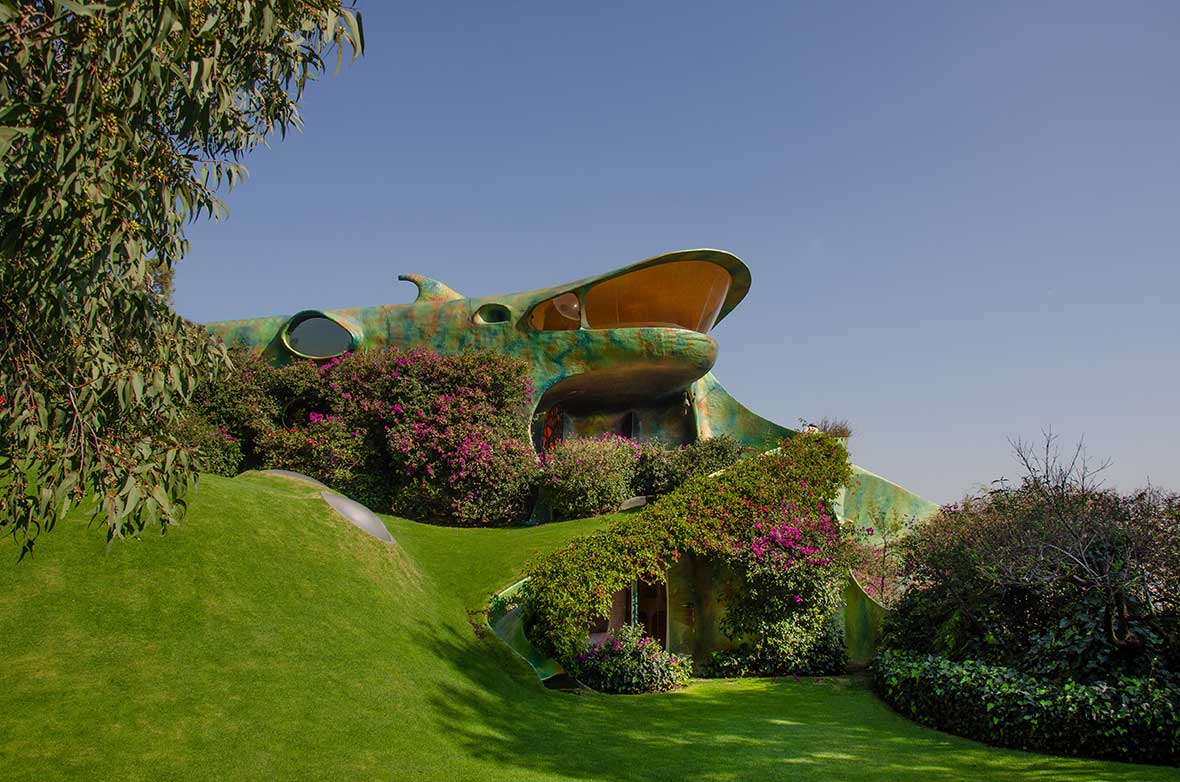 Javier Senosiain，Organic House，Architecture，Interior design，