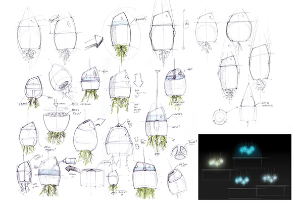 Electrolux，Competition，kitchen，ecology，Fruits and vegetables，plant，lamp，lighting，Organic，concept，
