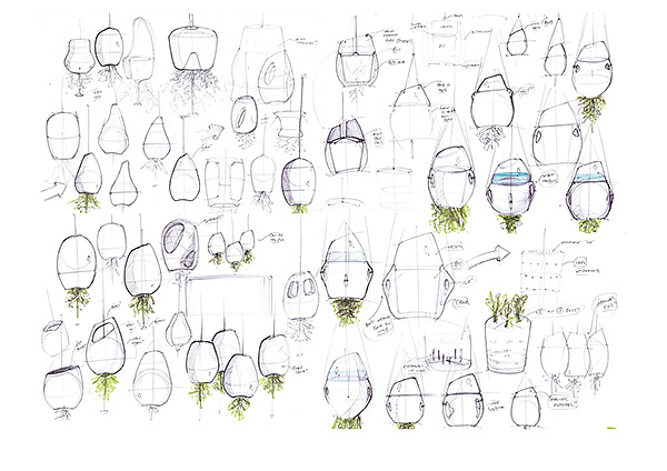 Electrolux，Competition，kitchen，ecology，Fruits and vegetables，plant，lamp，lighting，Organic，concept，