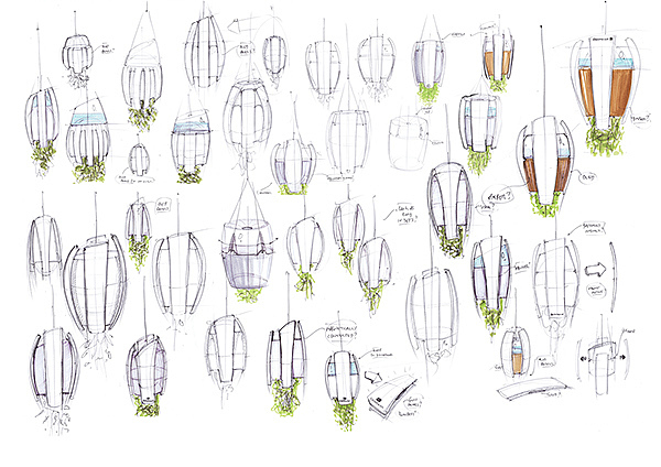 Electrolux，Competition，kitchen，ecology，Fruits and vegetables，plant，lamp，lighting，Organic，concept，