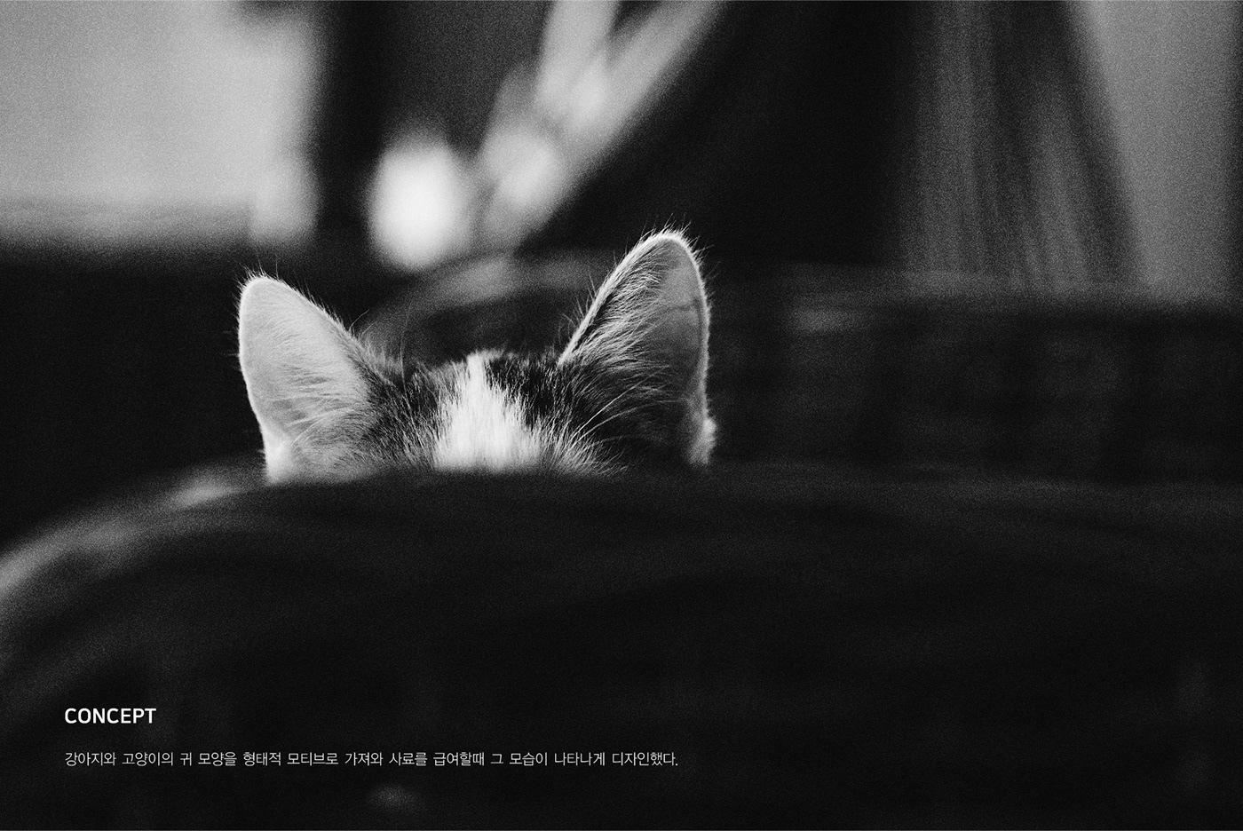 PETWIN，Pet feeder，Pets，