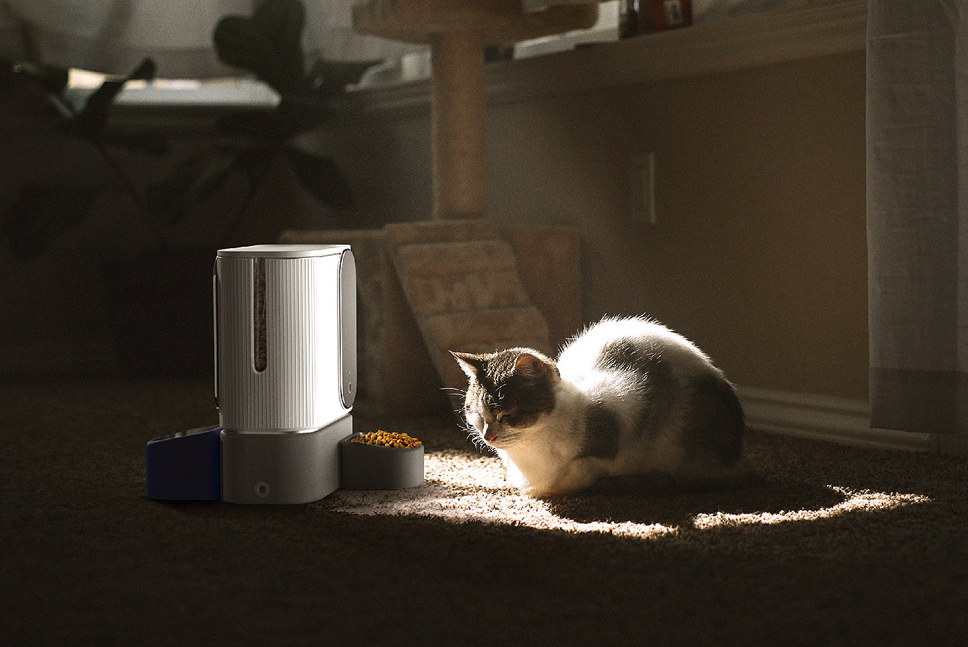 PETWIN，Pet feeder，Pets，