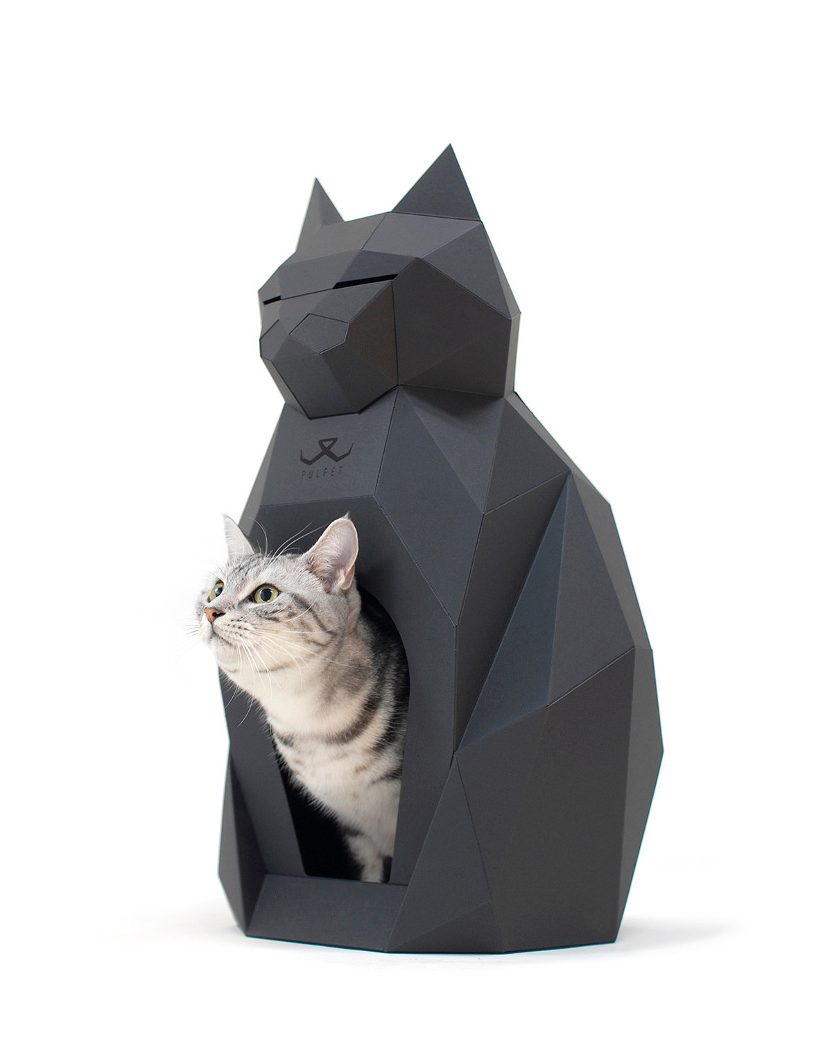 Cat paper house，Pets，product design，