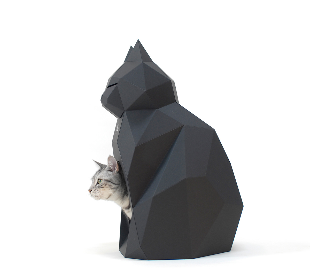 Cat paper house，Pets，product design，