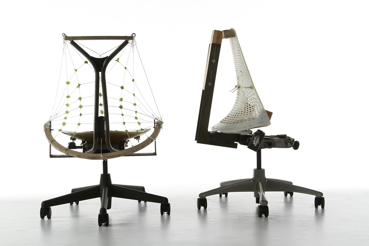 File，chair，furniture，originality，