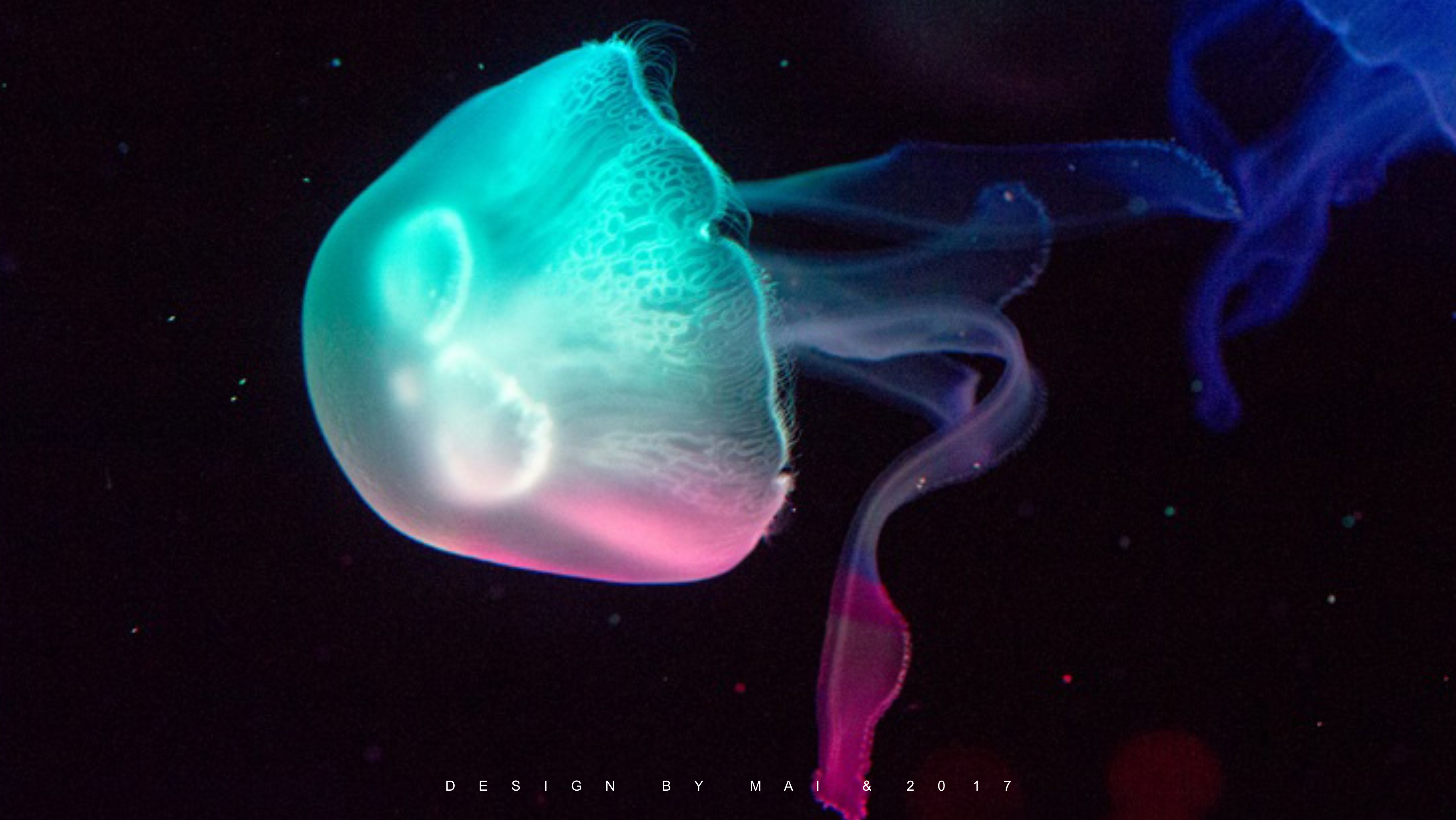 bionics，concept，Water dispenser，household electrical appliances，