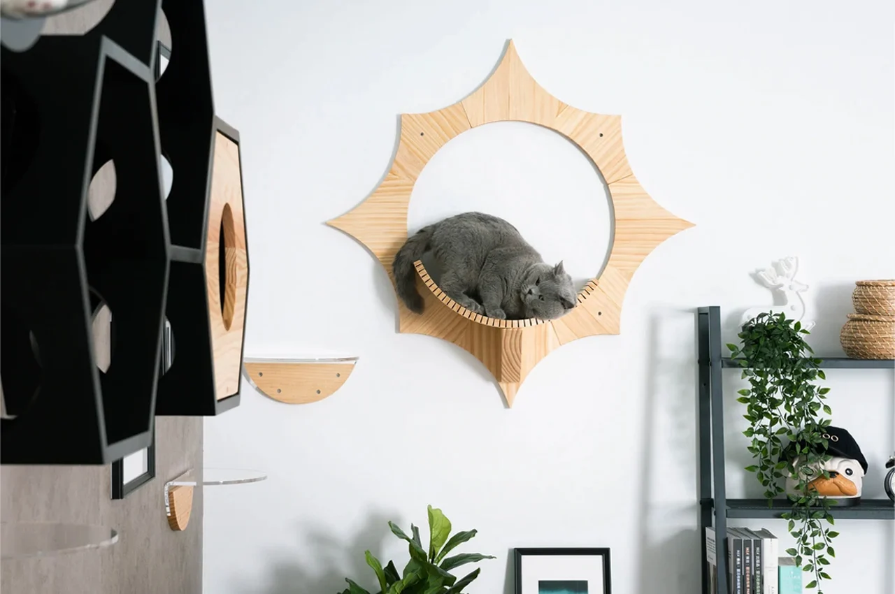 Solar cat bed，Cat bed，float，