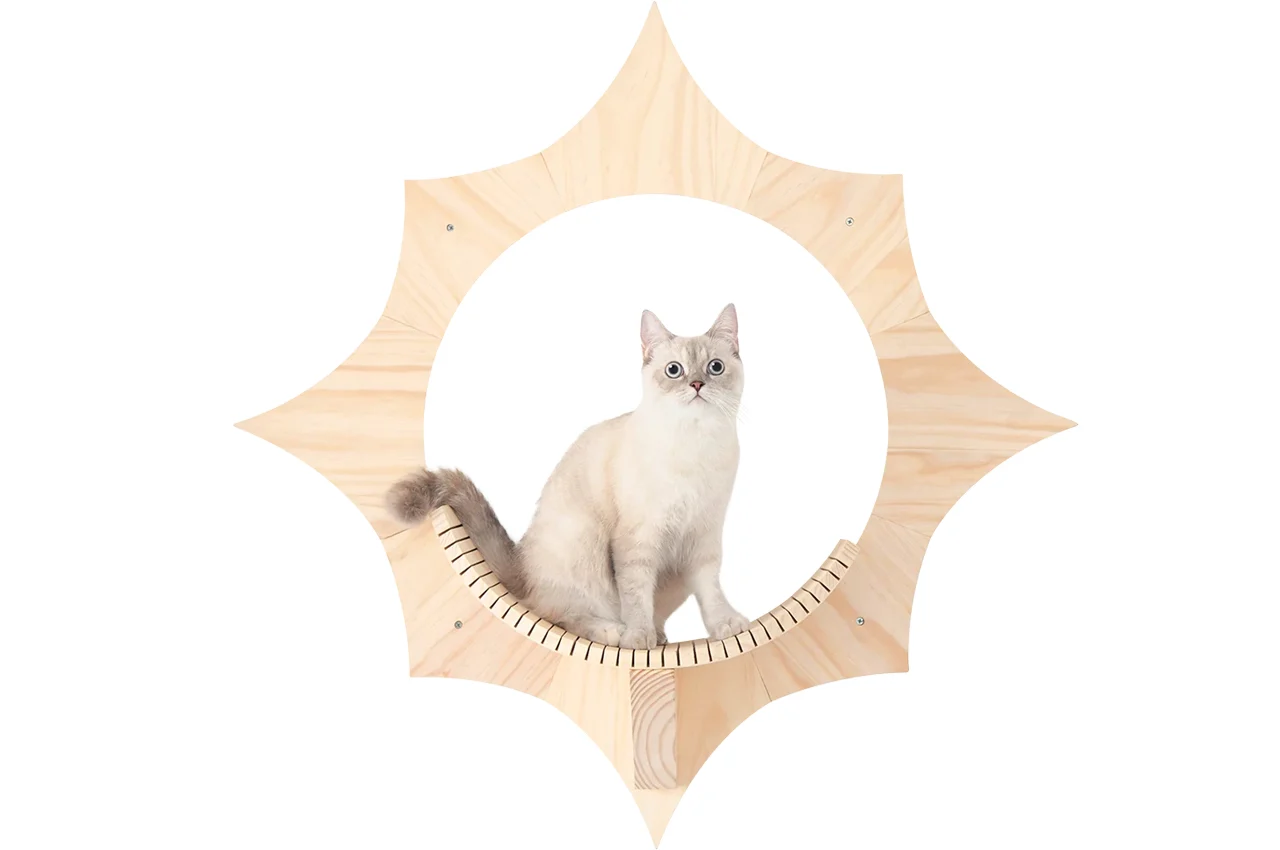 Solar cat bed，Cat bed，float，