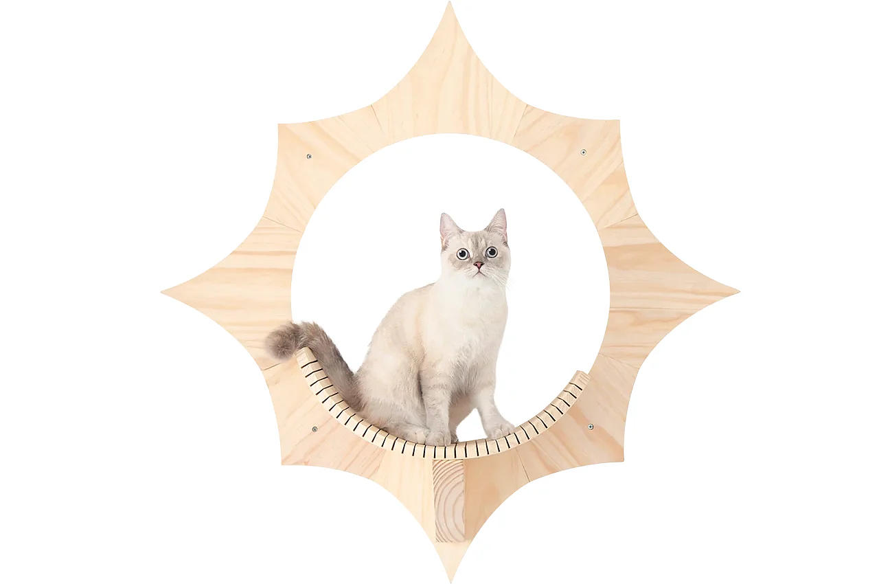 Solar cat bed，Cat bed，float，