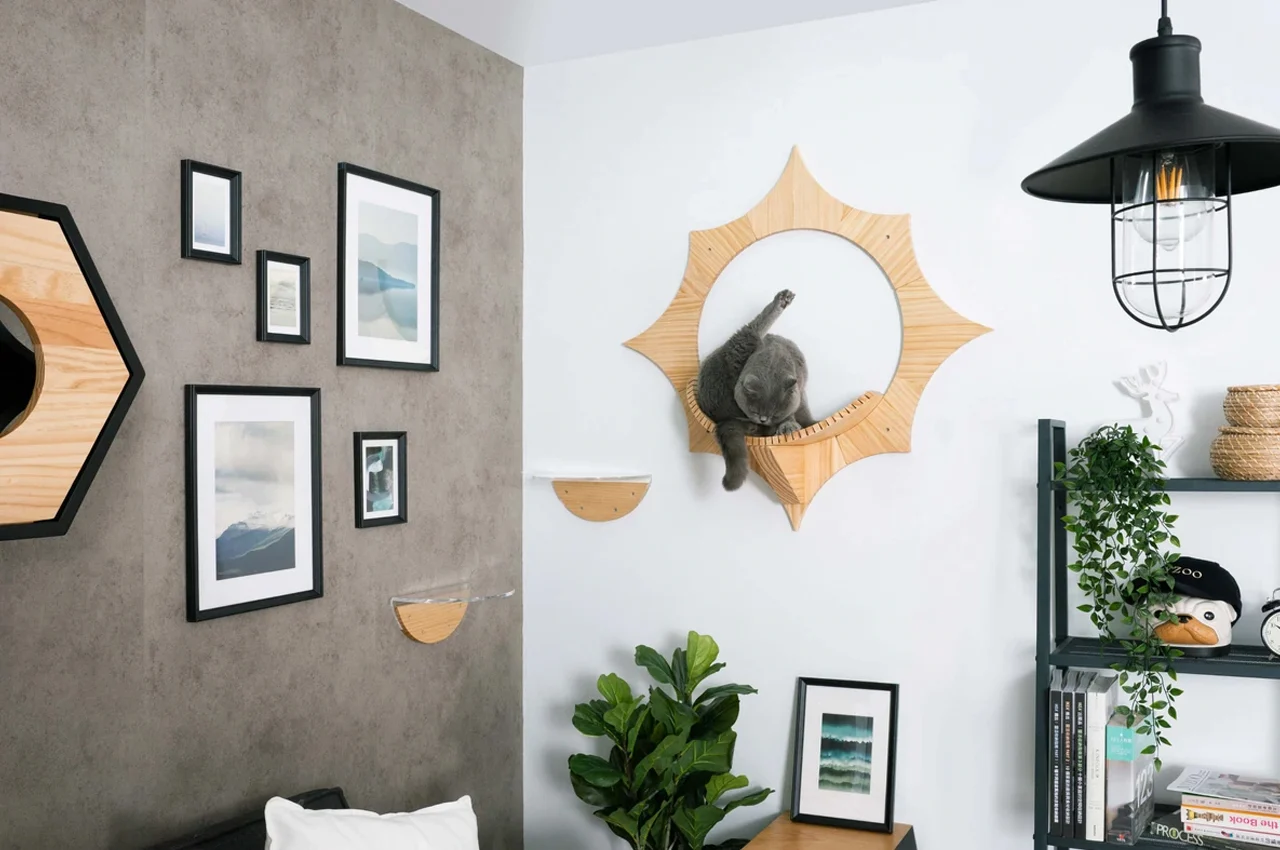 Solar cat bed，Cat bed，float，