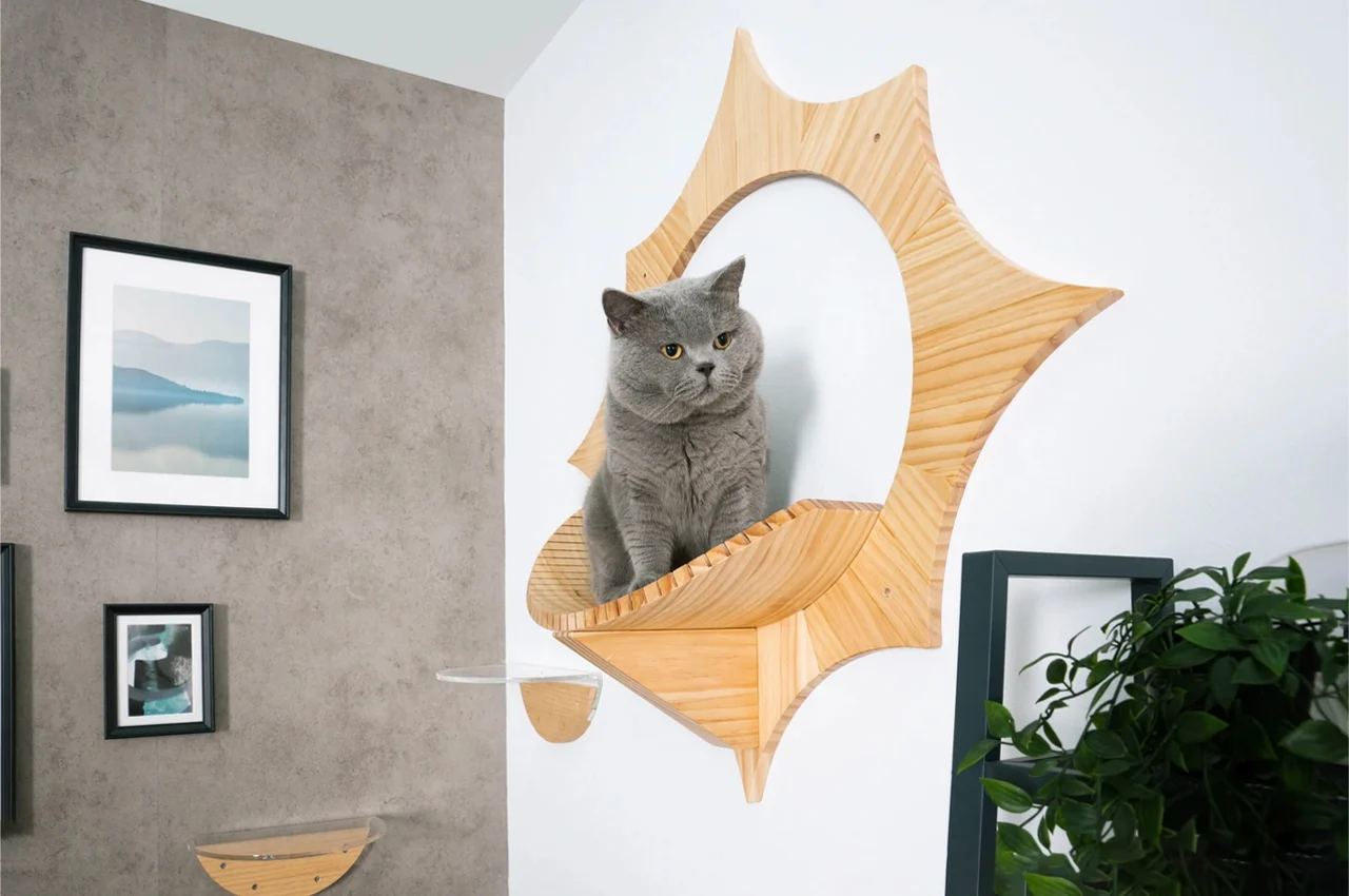 Solar cat bed，Cat bed，float，