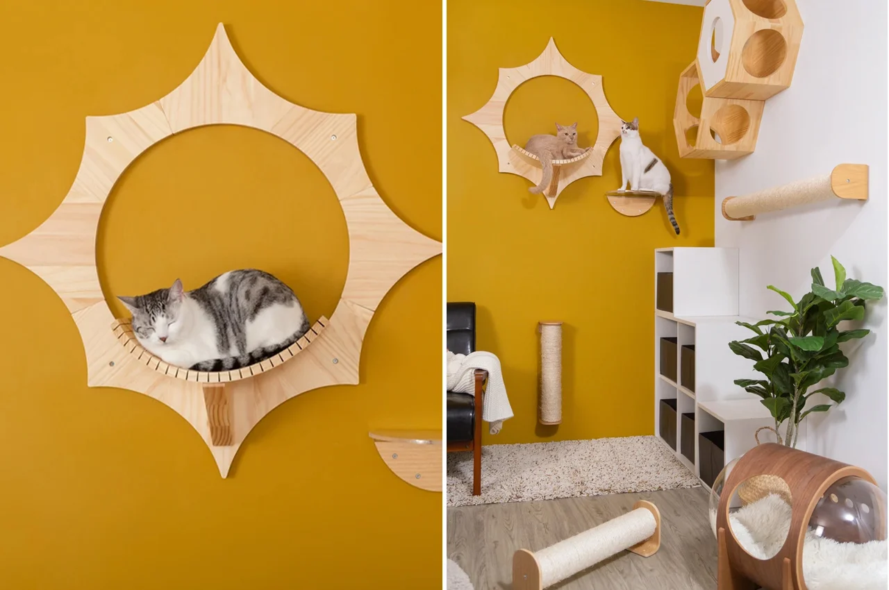 Solar cat bed，Cat bed，float，