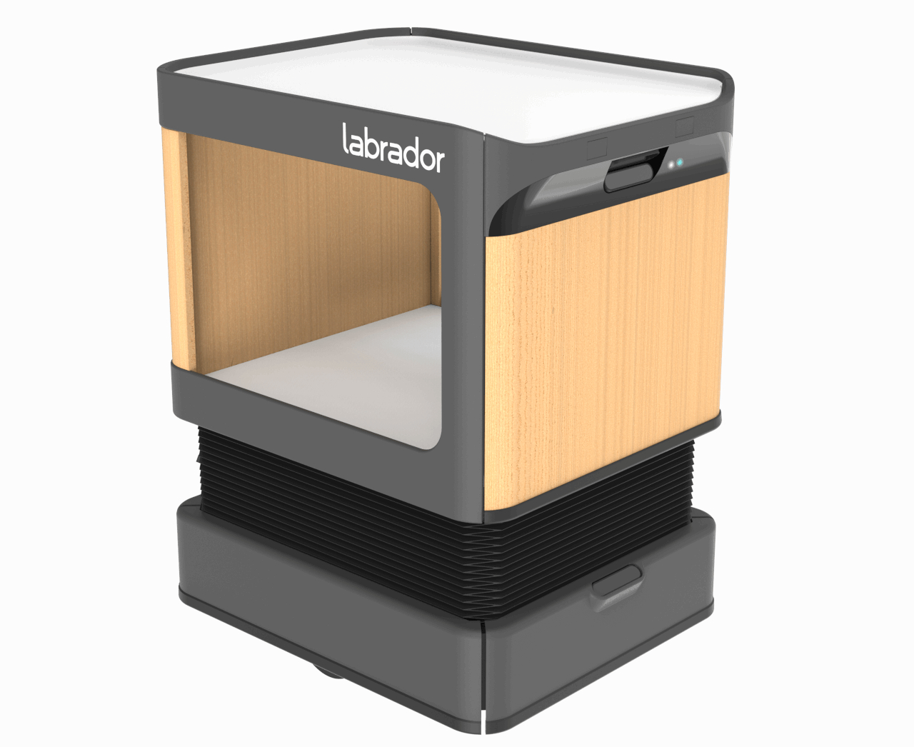 Labrador，move，robot，