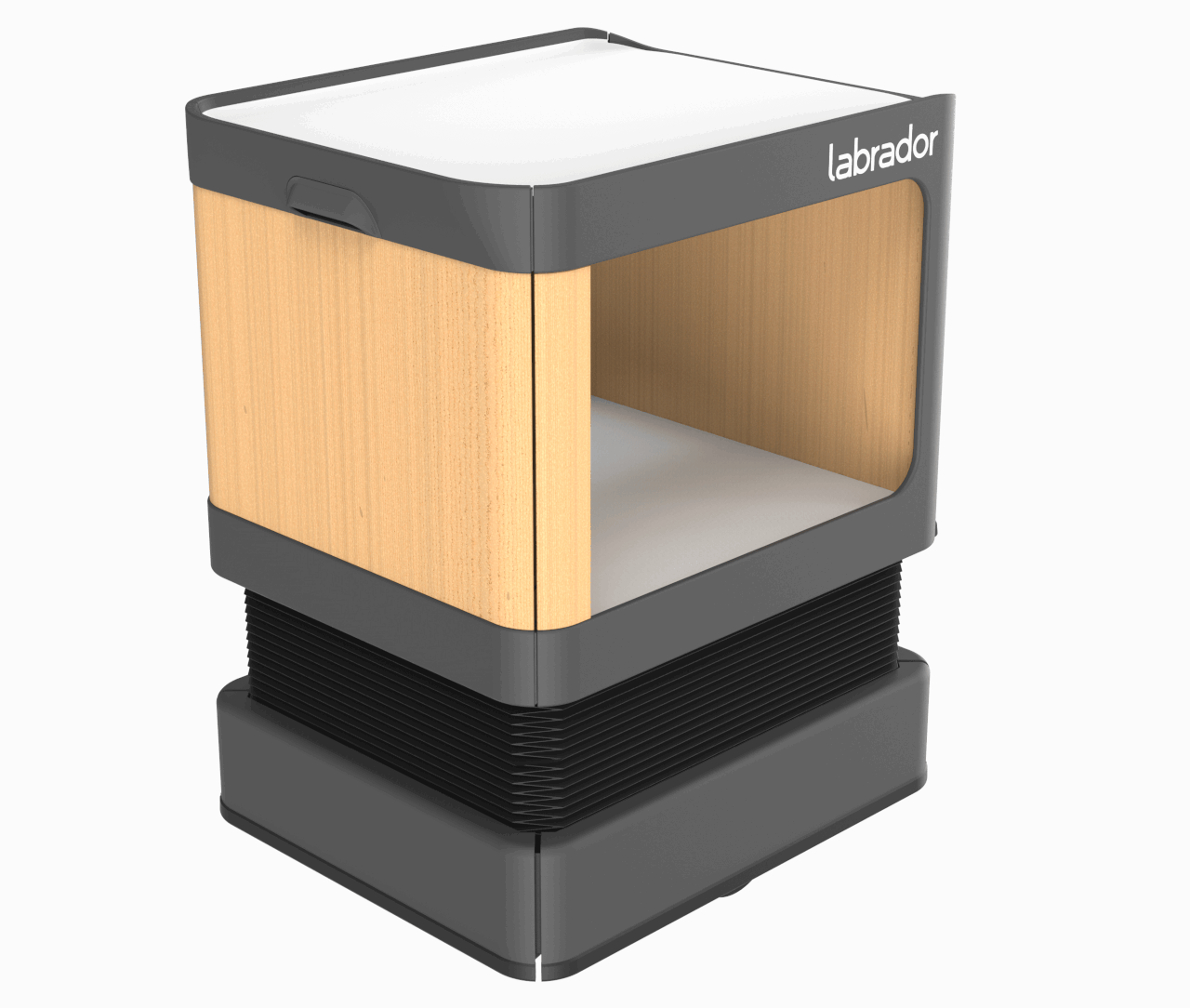 Labrador，move，robot，