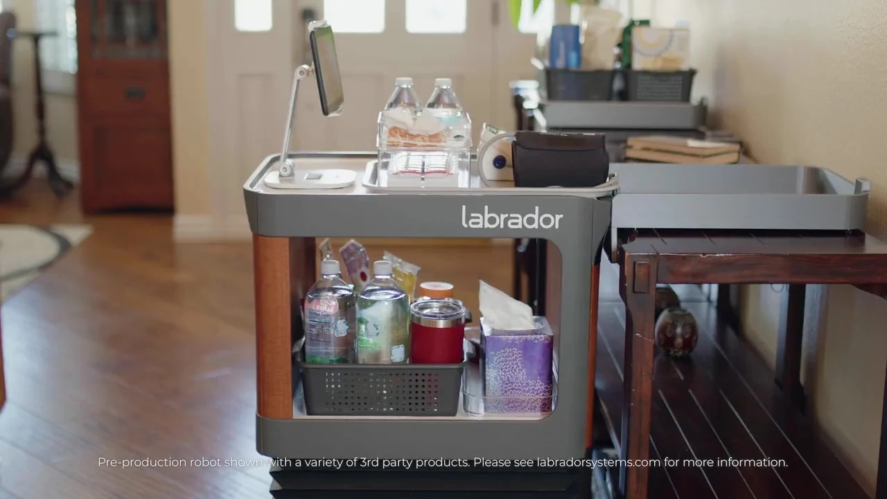 Labrador，move，robot，