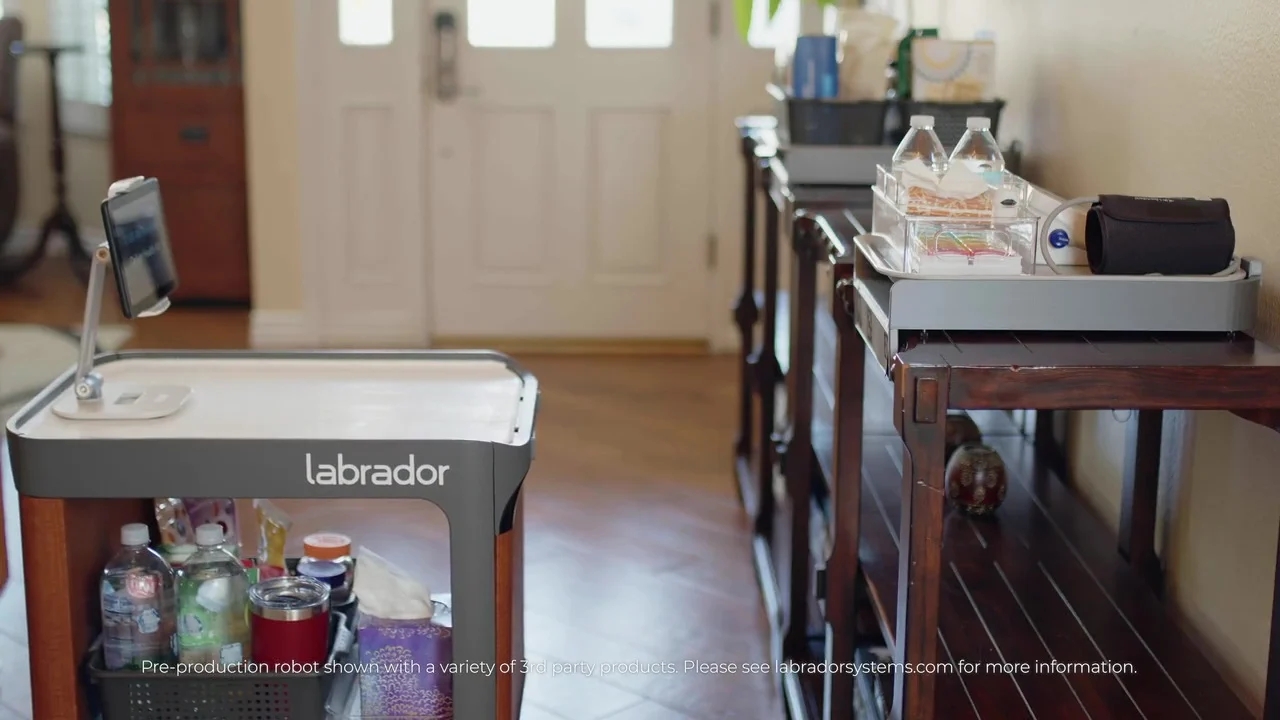 Labrador，move，robot，