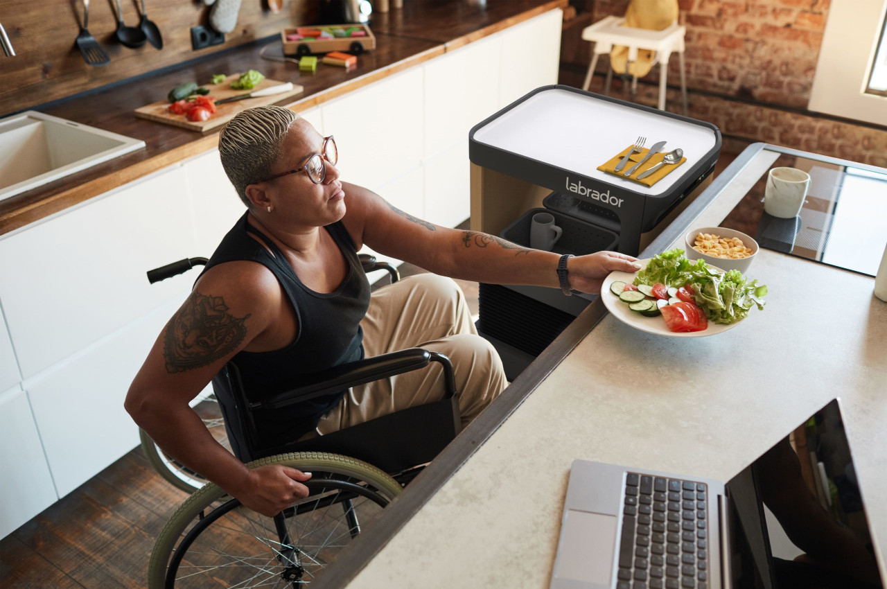 Labrador，move，robot，