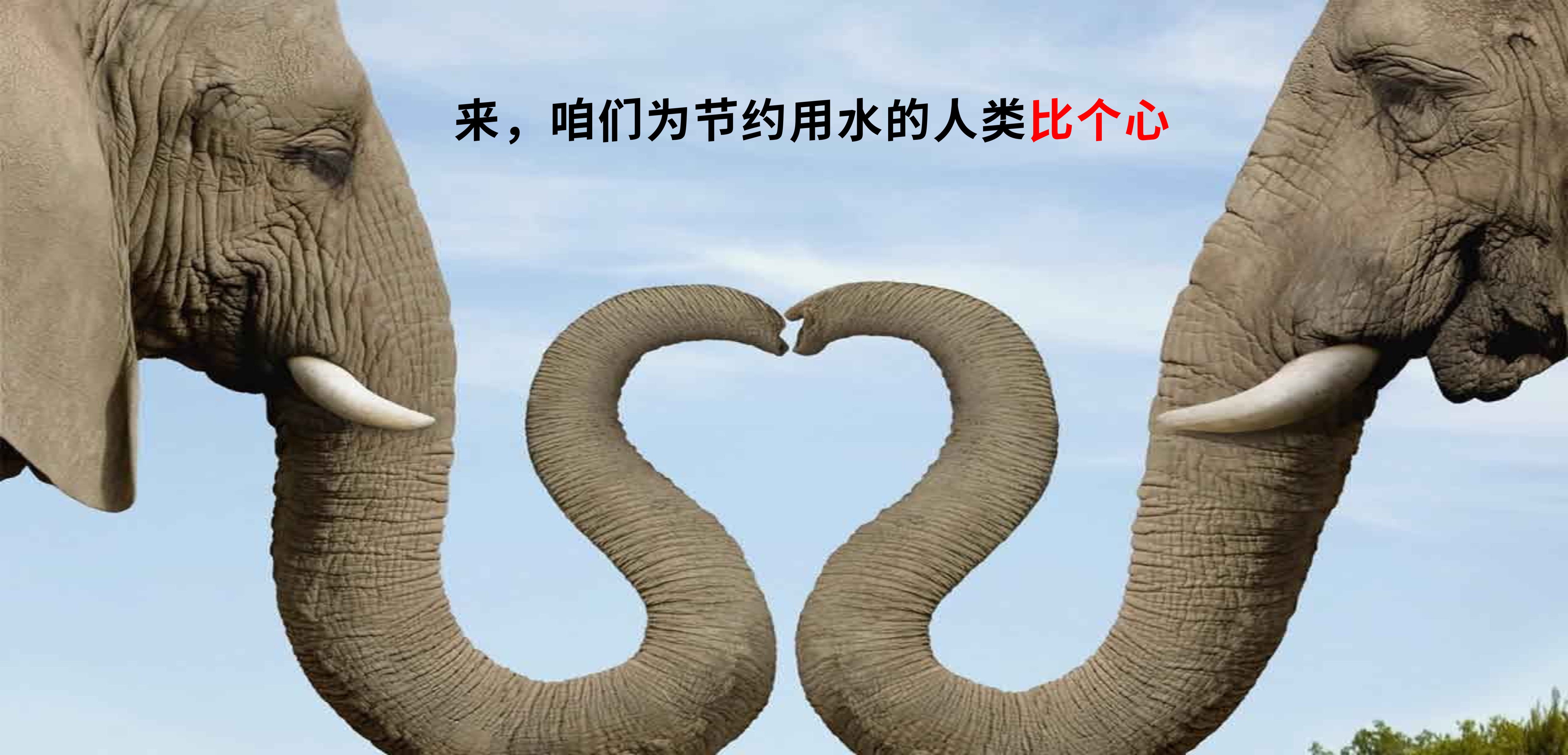 interaction，elephant，water tap，bathroom，environment protection，