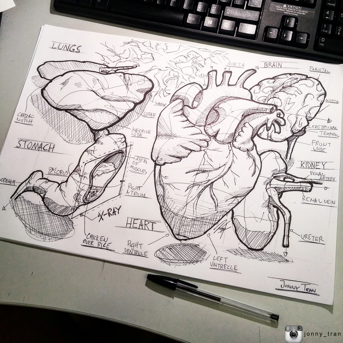 Jonny Tran，marker pen，product，sketch，Hand drawn，