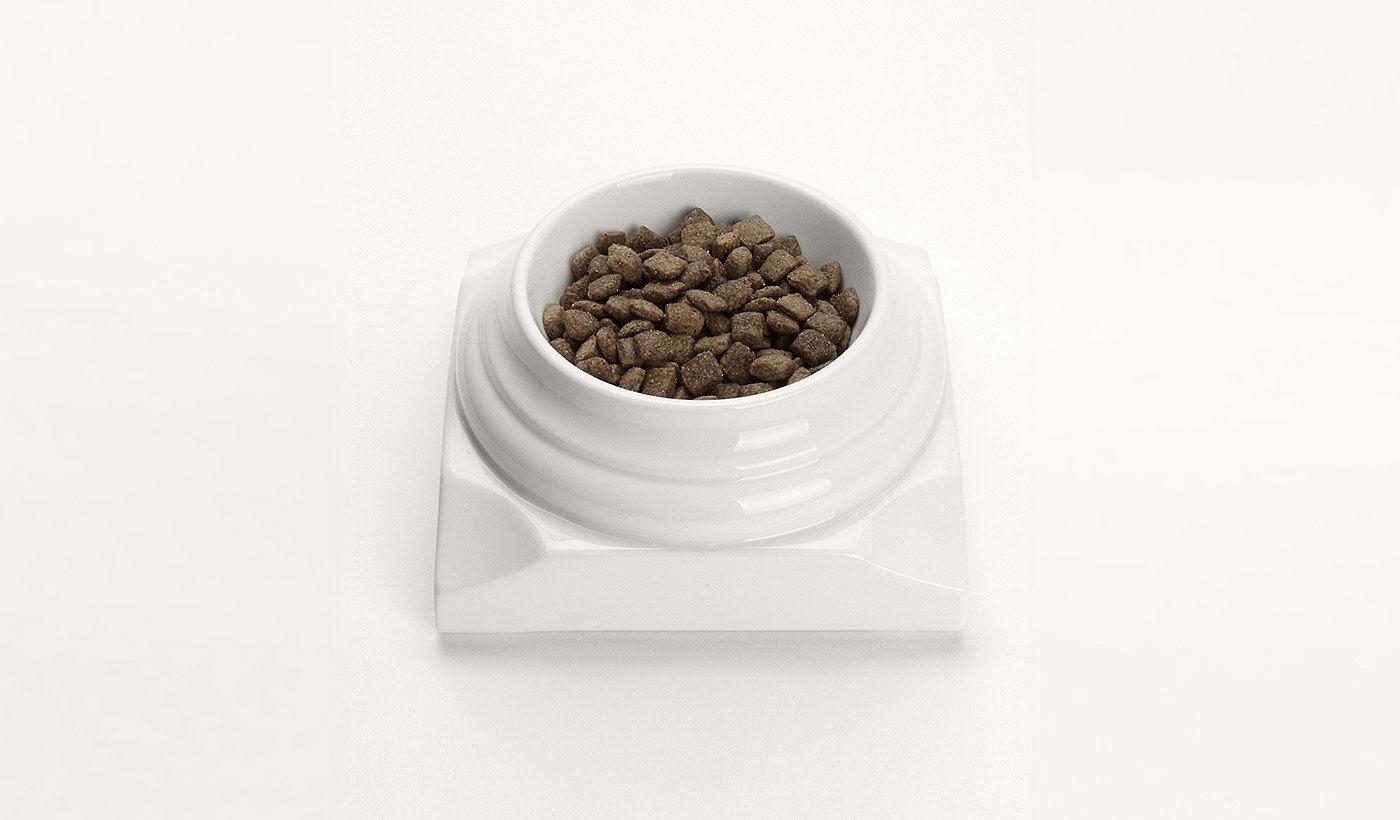 JinSeok Song，Pet bowl，Classic Myths，