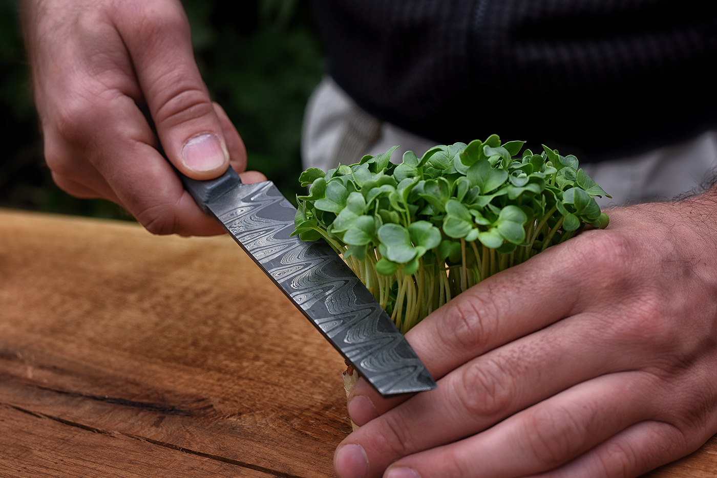 DAMASCUS KNIFE，Concrete handle，tool，