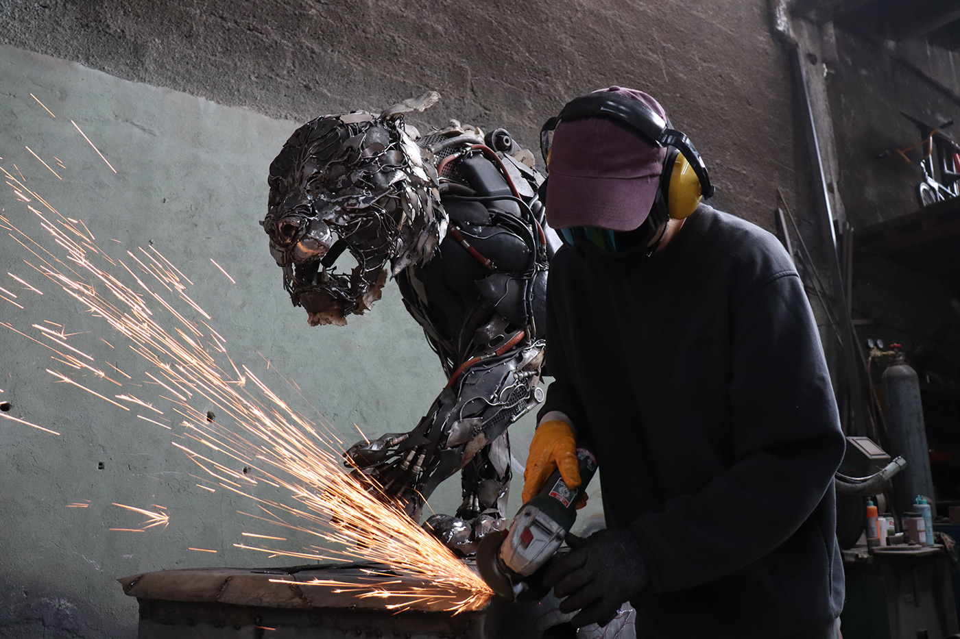 TIGER，cem özkan，tiger，