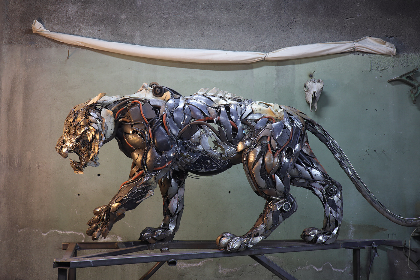 TIGER，cem özkan，tiger，