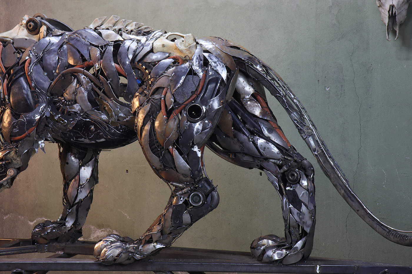 TIGER，cem özkan，tiger，