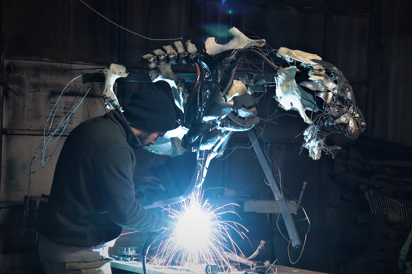 TIGER，cem özkan，tiger，