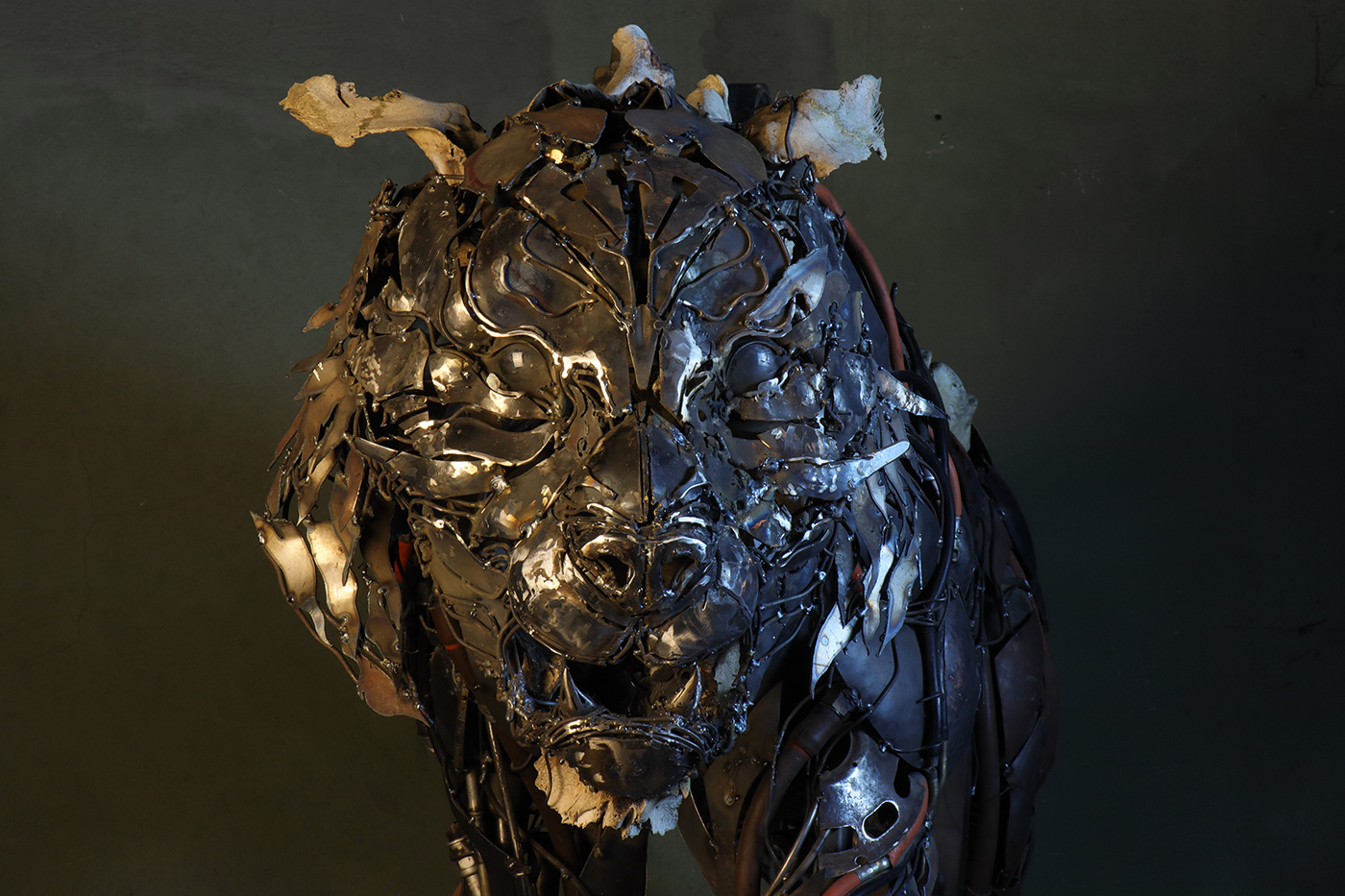 TIGER，cem özkan，tiger，