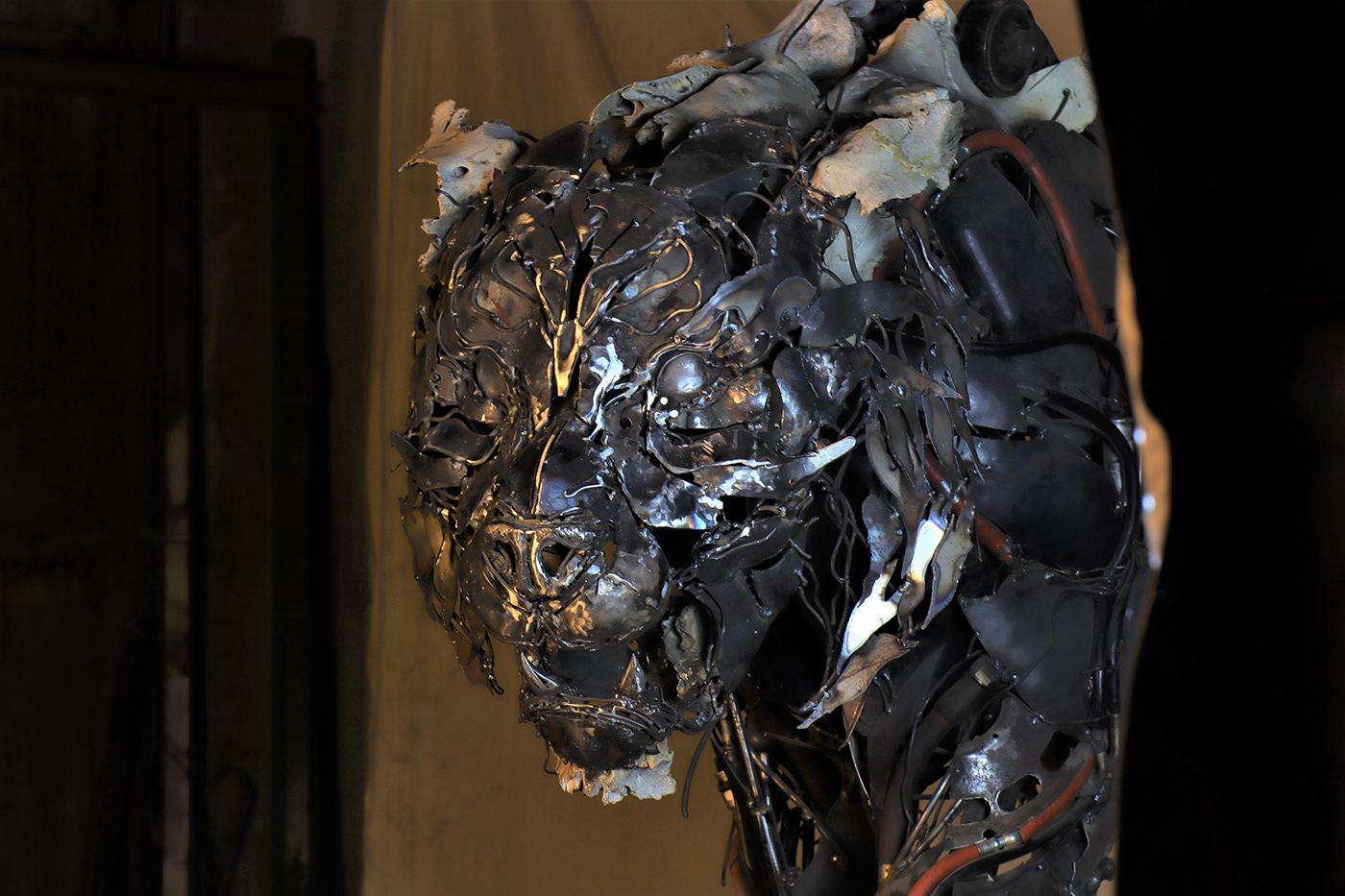 TIGER，cem özkan，tiger，