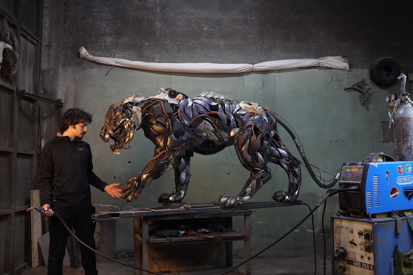 TIGER，cem özkan，tiger，