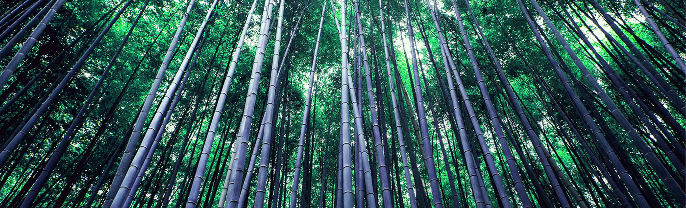 Huigyu Kim，air cleaner，N A M U，