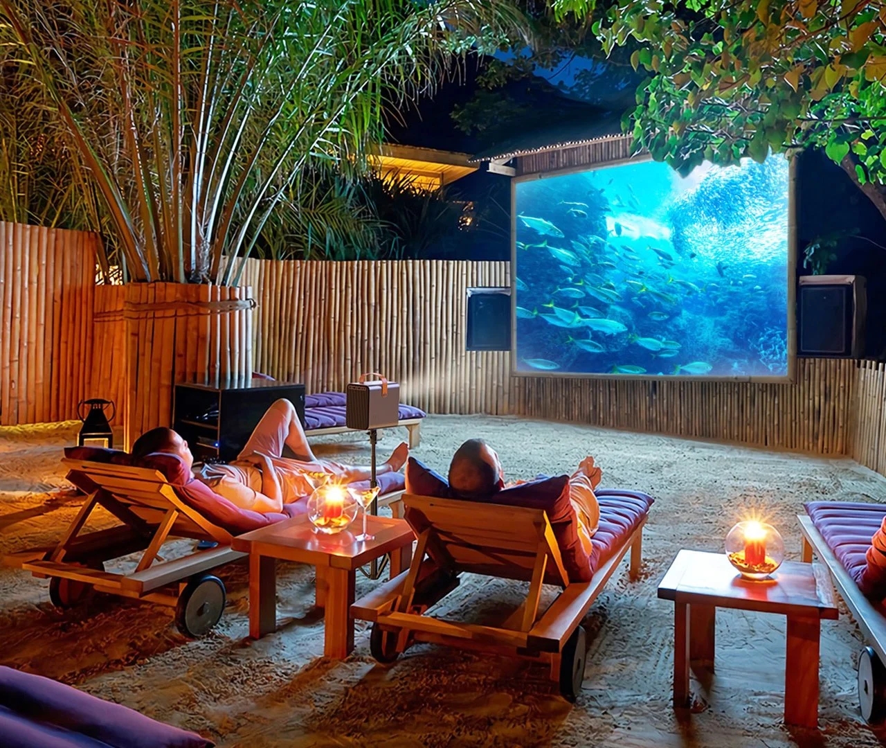 Projector，television，entertainment，