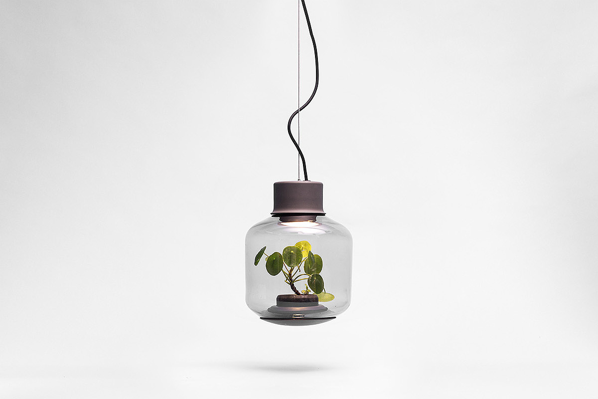 mygdal，灯，植物，玻璃，