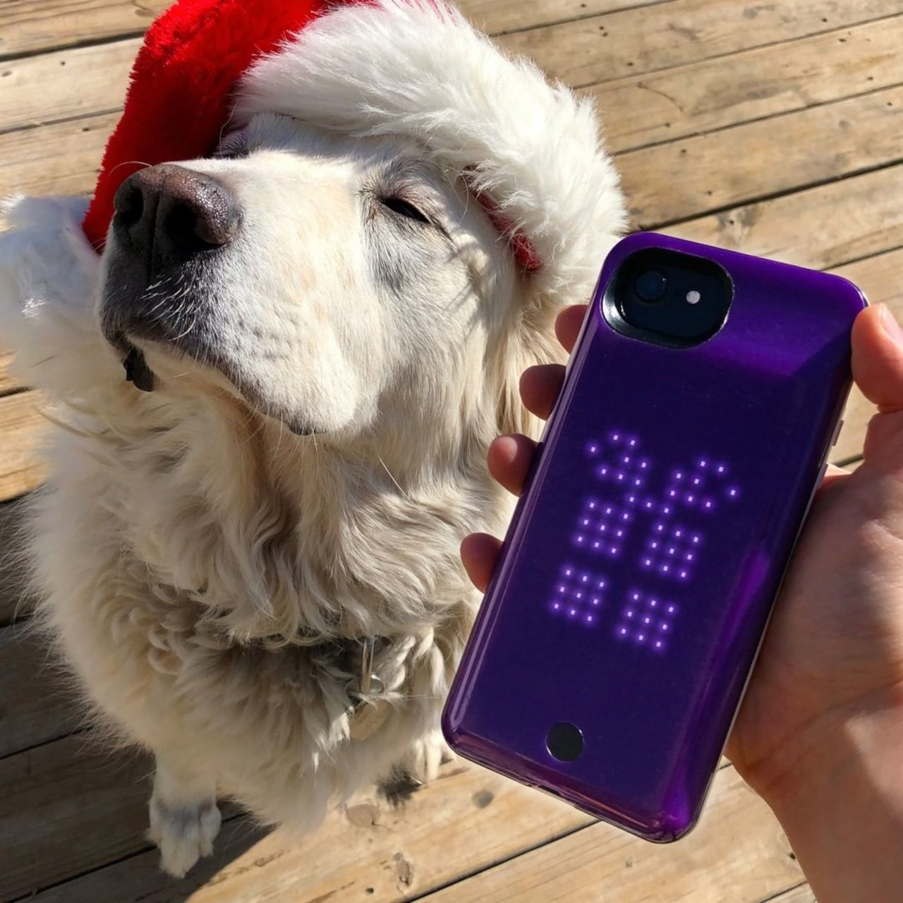 Battery box，iphone，Leading mobile phone case，Consumer Electronics Show，Personalized mobile phone case，