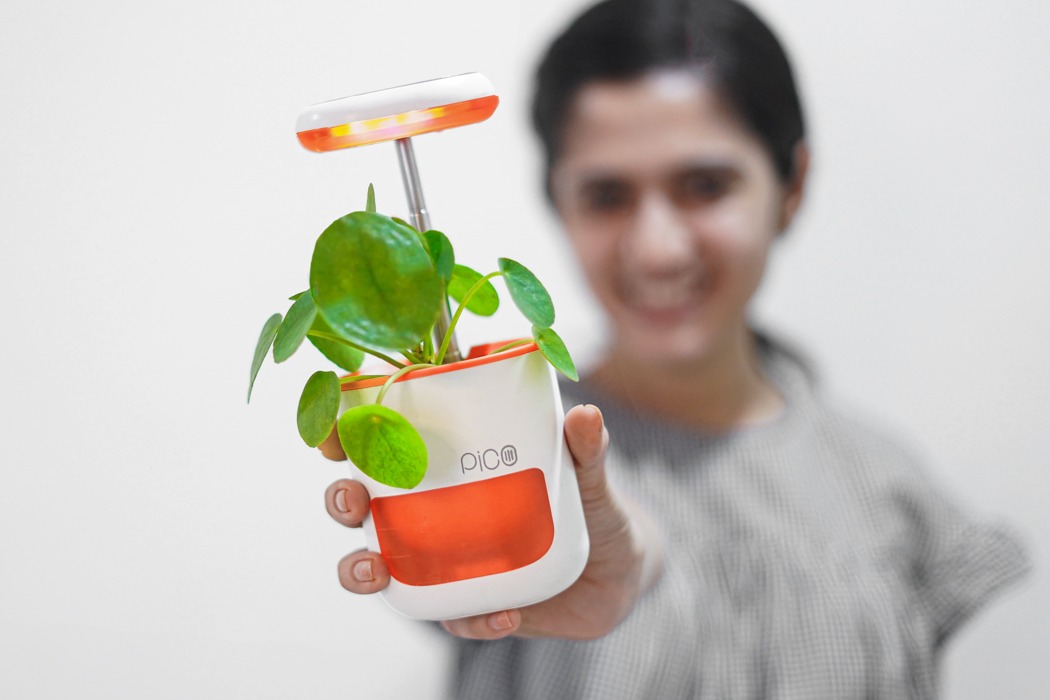 Botany，automatic，Flowerpot，