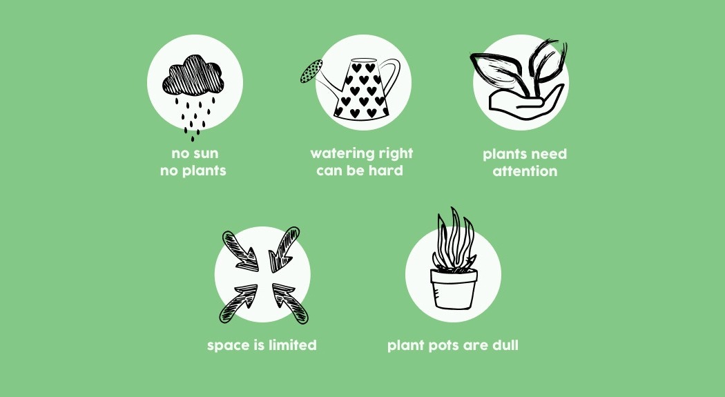 Botany，automatic，Flowerpot，