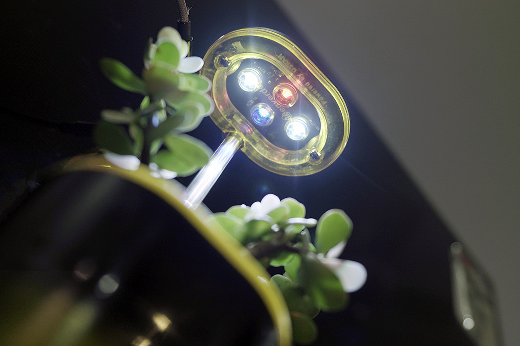 Botany，automatic，Flowerpot，