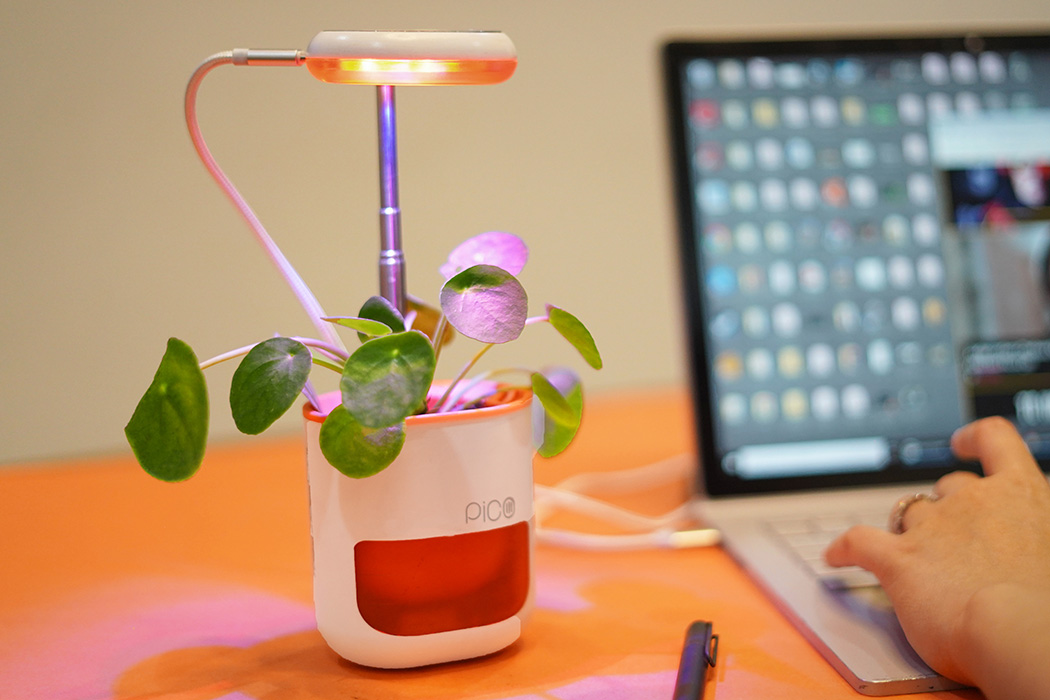 Botany，automatic，Flowerpot，