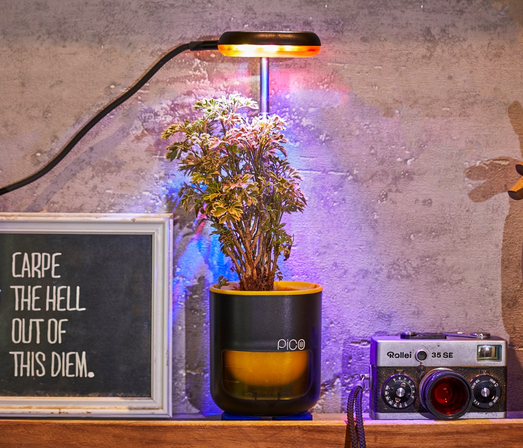 Botany，automatic，Flowerpot，