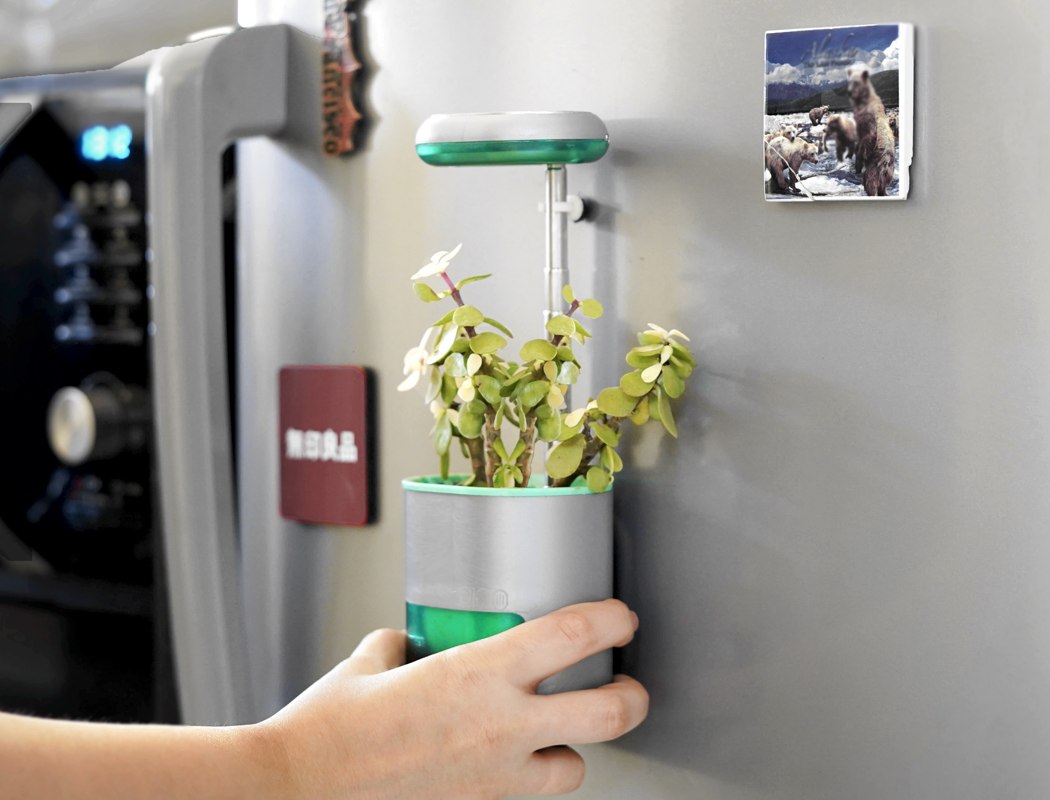 Botany，automatic，Flowerpot，