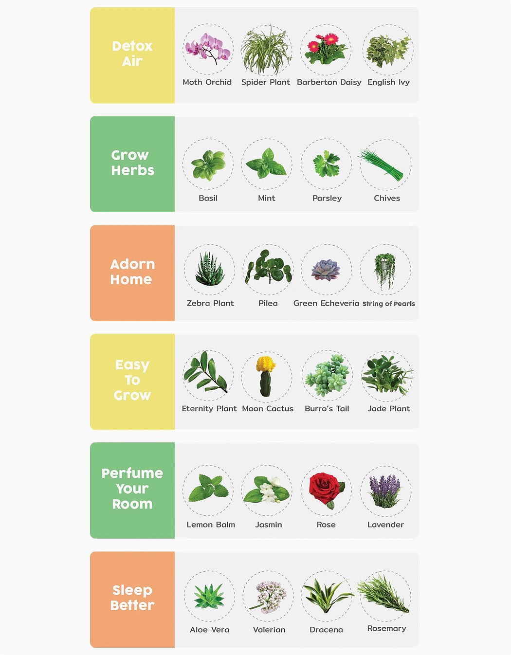 Botany，automatic，Flowerpot，