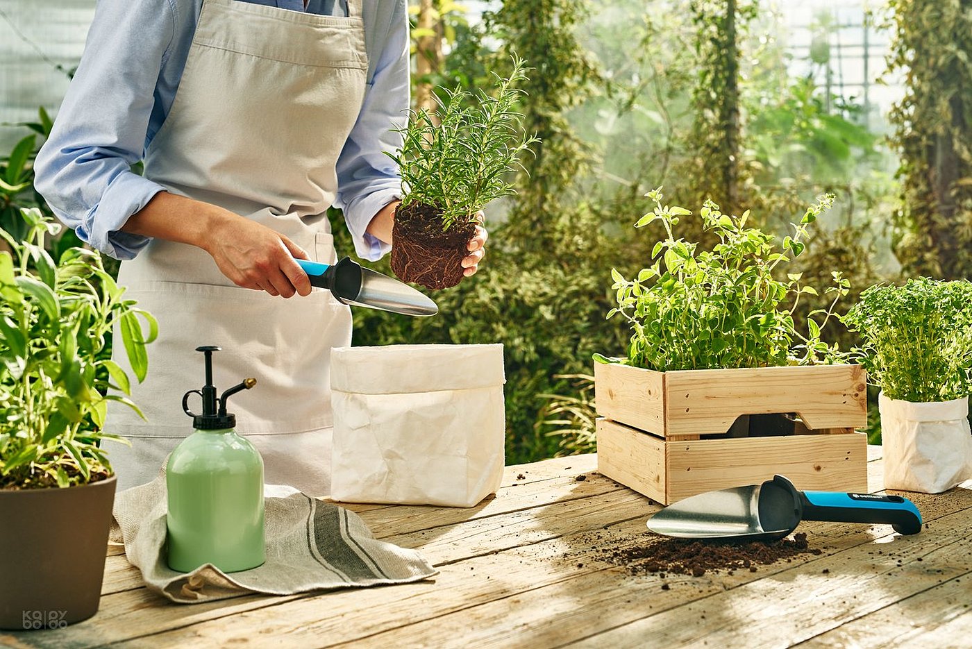 Potted plants，Shovel，Cellfast，Plastic，Metal，plant，suit，Small tools，gardening，gardens，