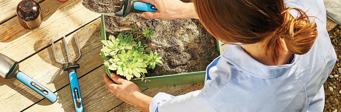 Potted plants，Shovel，Cellfast，Plastic，Metal，plant，suit，Small tools，gardening，gardens，