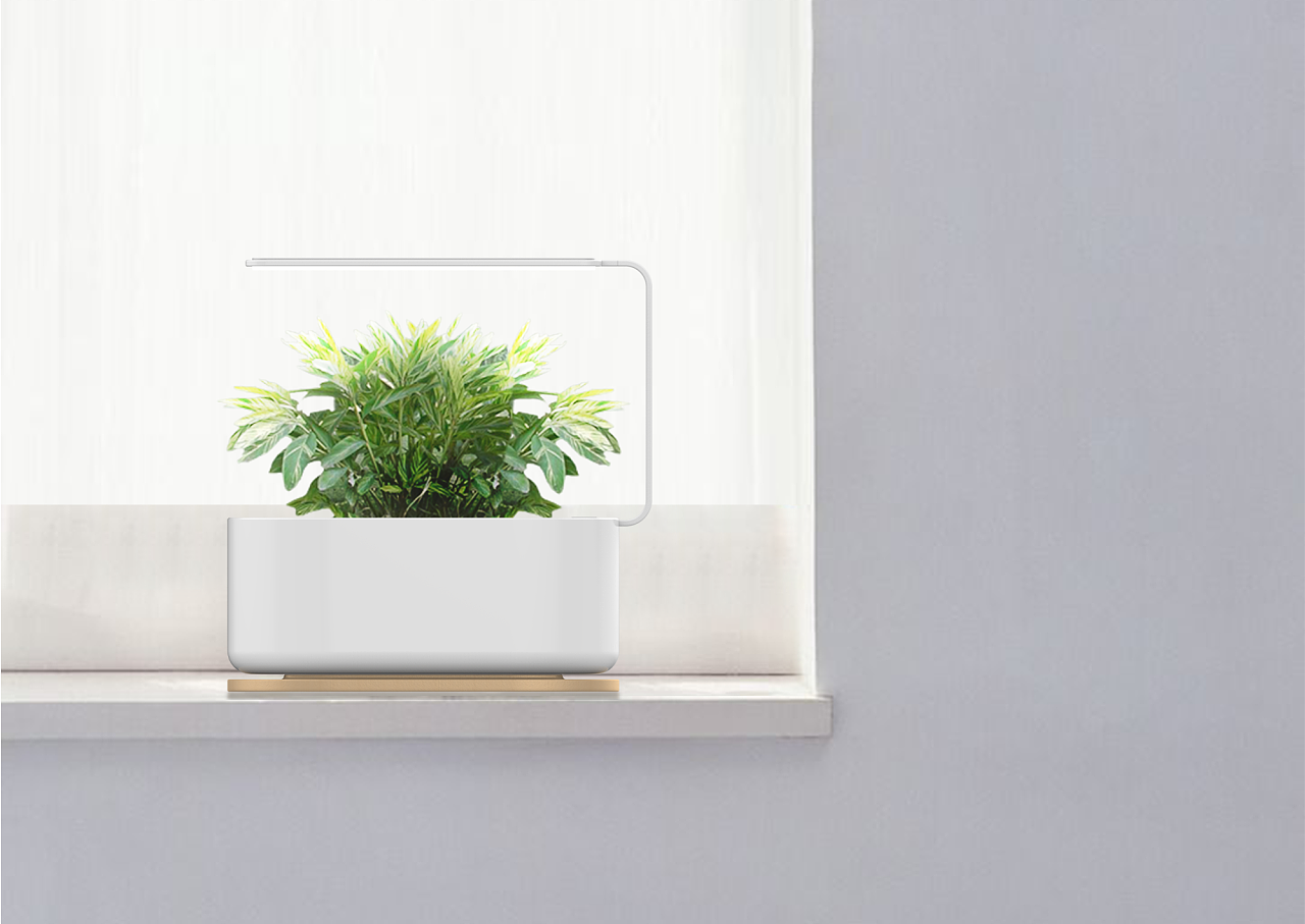 plant，intelligence，Digital，